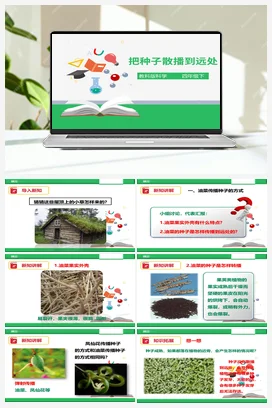 2.4 把种子散播到远处 （课件+教案+练习） 教科版小学科学四年级下册