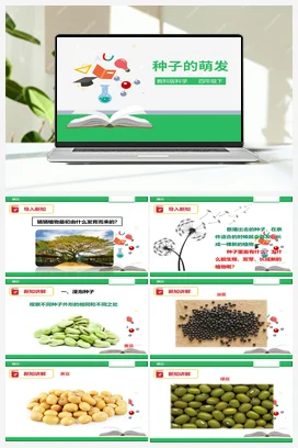 2.5 种子的萌发（课件+教案+练习） 教科版小学科学四年级下册