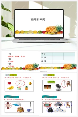 1.3 相同与不同 课件（23张ppt） 教案 人教鄂教版小学科学一年级上册