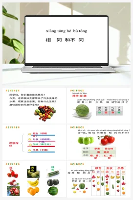1.3 相同和不同 (课件13张ppt) 人教鄂教版小学科学一年级上册