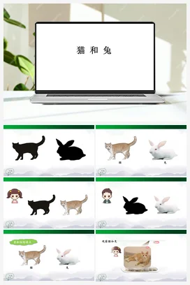 2.5 猫和兔 课件（49张ppt） 5个内嵌视频 人教鄂教版小学科学一年级上册