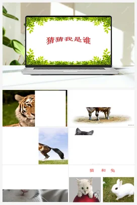 5 猫和兔 课件（21张ppt）+教案 人教鄂教版小学科学一年级上册