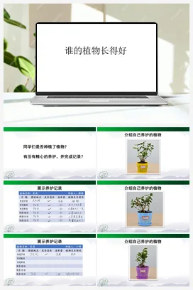 1.2 谁的植物长得好( 课件26张ppt) 人教鄂教版小学科学二年级上册