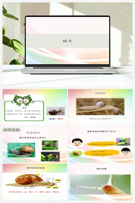 人教鄂教版小学科学二年级下册3.8 蜗牛（PPT课件+教案）