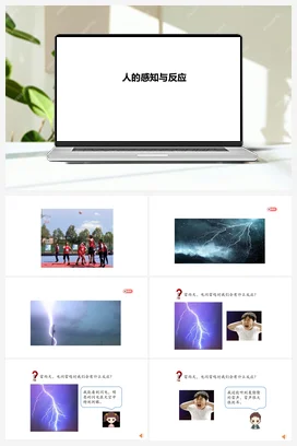 8 人的感知和反应（PPT课件+教学设计+视频素材） 人教鄂教版小学科学五年级下册