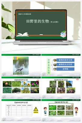 第2单元 田野里的生物【单元回顾(课件+教案+任务单+练习)】 人教鄂教版小学科学六年级上册