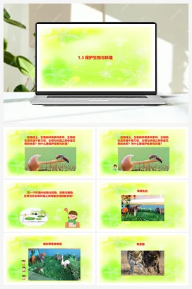1.3保护生物与环境 课件 人教鄂教版小学科学六年级下册
