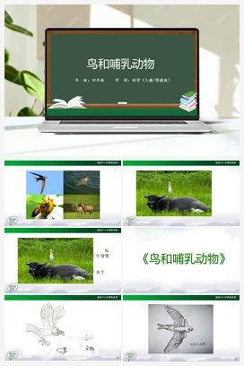 1.1 鸟和哺乳动物 课件（33张ppt） 教学设计 人教鄂教版小学科学四年级上册