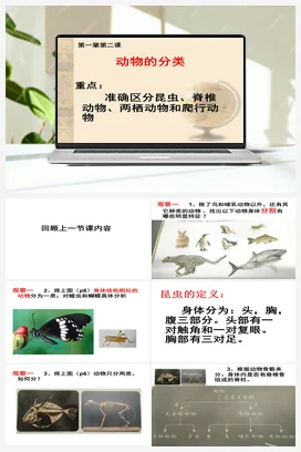 1.2 动物的分类（课件13张ppt 2个素材） 人教鄂教版小学科学四年级上册