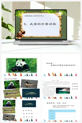 1.3《我国的珍稀动物 课件（15张ppt） 教学设计 人教鄂教版小学科学四年级上册