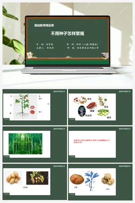 2.5 不用种子怎样繁殖 （课件32张PPT 视频素材） 人教鄂教版小学科学四年级上册