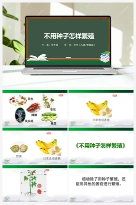 2.5 不用种子怎样繁殖 （课件47张PPT 6个视频素材） 人教鄂教版小学科学四年级上册