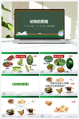3.7 动物的繁殖 课件（49张PPT） 素材 人教鄂教版小学科学四年级上册