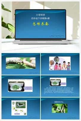 06：怎样养蚕（PPT课件+教学设计+视频素材） 人教鄂教版小学科学四年级下册