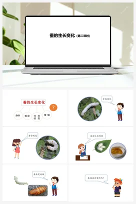 07：蚕的生长变化（第02课时） 人教鄂教版小学科学四年级下册