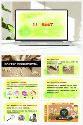 2.5蚕出生了 课件+视频 人教鄂教版小学科学四年级下册