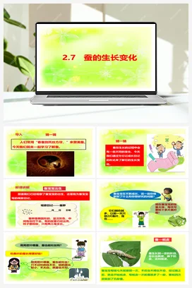 2.7蚕的生长变化 课件+教案+视频素材 人教鄂教版小学科学四年级下册