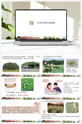 14 不同环境中的植物 课件 青岛版小学科学四年级下册