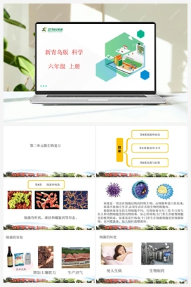 第二单元复习 课件（18张PPT） 新青岛版小学科学六年级上册