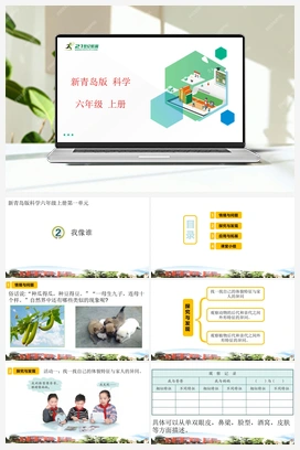 1.2 我像谁 课件（23张PPT） 新青岛版版小学科学六年级上册