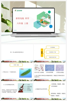 第一单元复习 课件（16张PPT） 新青岛版小学科学六年级上册