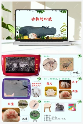 1.1《动物的四肢》 课件（20张ppt）+教案+13个视频 青岛版小学科学三年级上册