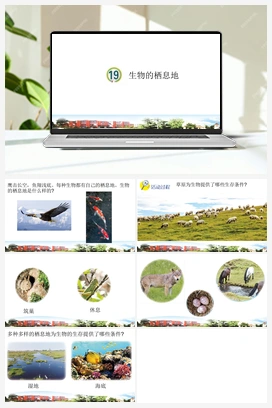 第19课：生物的栖息地 课件+视频 青岛版小学科学五年级下册