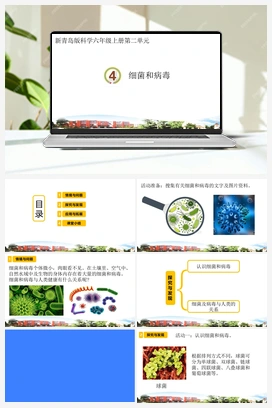 4.细菌和病毒（课件） 青岛版小学科学六年级上册