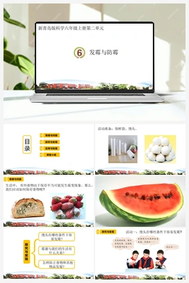 6.发霉与防霉（课件） 青岛版小学科学六年级上册