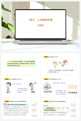 5 触觉 课件(共15张PPT) 青岛版小学科学六年级下册