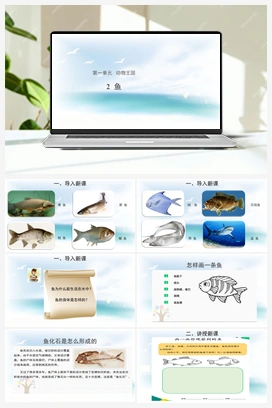 2鱼（ 课件15张ppt 教案 3个素材） 青岛版小学科学四年级上册