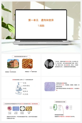 1.1.细胞（含练习）课件(共14张PPT) 青岛版（六三制2022） 小学科学六年级上册