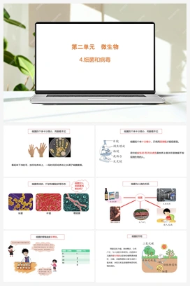 2.4.细菌和病毒（含练习）课件 (共17张PPT) 青岛版（六三制2022） 小学科学六年级上册