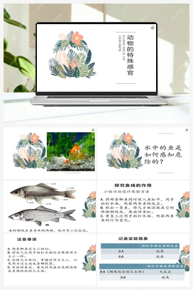 09：动物的特殊感官 冀人版 冀人版小学科学三年级下册