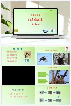 11：喜鹊筑巢 冀人版小学科学三年级下册