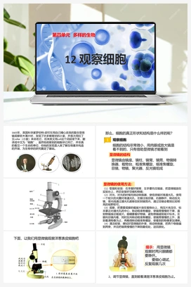 12：《观察细胞》课件 冀人版小学科学五年级下册
