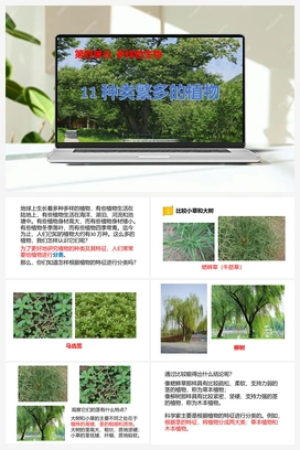 11：《种类繁多的植物》课件 冀人版小学科学五年级下册