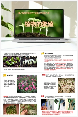 06：《植物的繁殖》 课件 冀人版小学科学四年级下册
