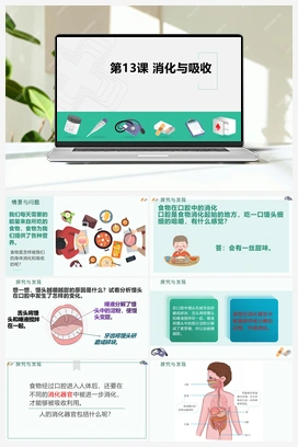 第14课《消化与吸收》（课件） 冀人版小学科学四年级下册