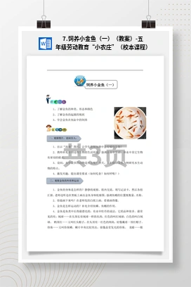 饲养小金鱼（一）（课件+教案）-五年级上册劳动教育“小农庄”（校本课程）