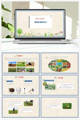 管理采摘我快乐 课件+教案 人民版小学劳动六年级下册