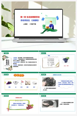 《洗葡萄》课件+教案+素材 人教版劳动一下