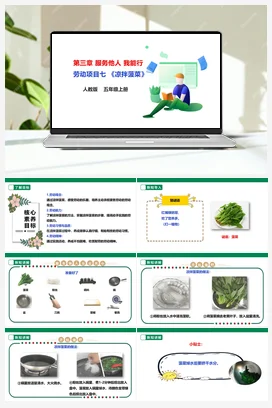 《凉拌菠菜》课件+教案+素材 人教版劳动五上