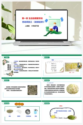 《发绿豆芽》课件+教案+素材 人教版劳动六下