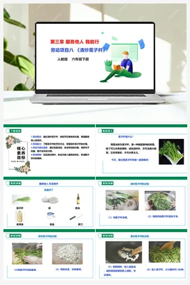 《清炒蒿子秆》课件+教案+素材 人教版劳动六下