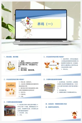 养鸡（一）（课件+教案）-五年级上册劳动教育“小农庄”（校本课程）