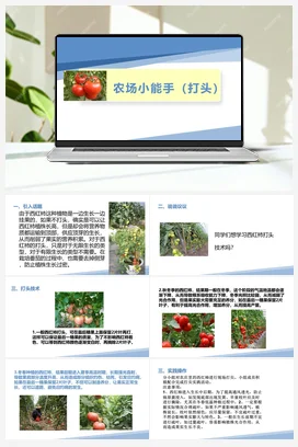 农场小能手（打头）（课件+教案）-四年级上册劳动教育“小农庄”（校本课程）