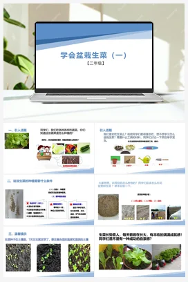 盆栽生菜（一）（课件+教案）-二年级上册劳动教育“小农庄”（校本课程）