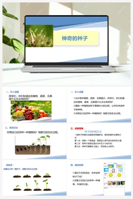 神奇的种子（课件+教案）-一年级上册劳动教育“小农庄”（校本课程）