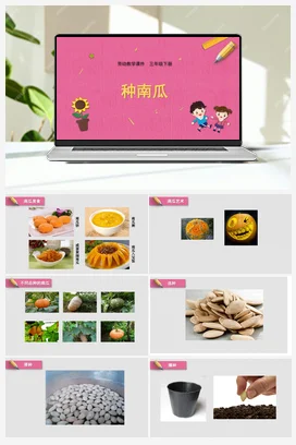 种南瓜 课件+教案 苏教版劳动三年级下册